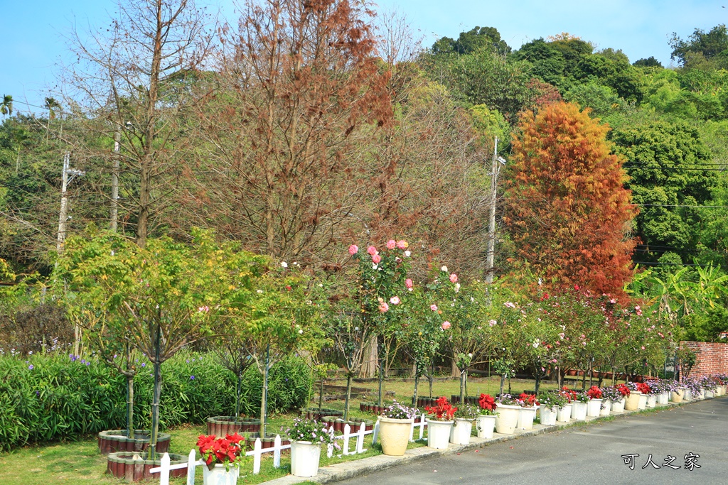 蘿莎玫瑰莊園