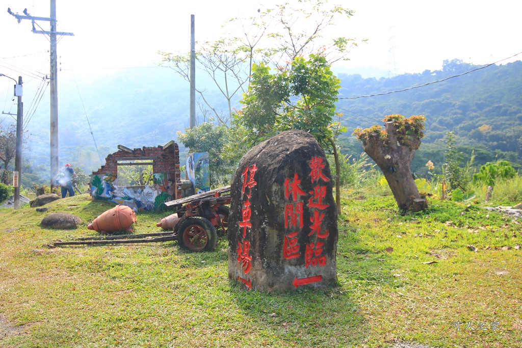 175縣道,台南東山咖啡,東咖農場,東山小動物,東山景點,東山親子玩水玩沙