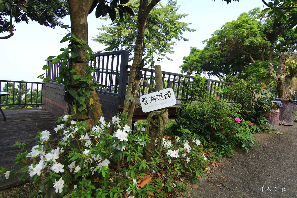 175縣道,台南東山咖啡,東咖農場,東山小動物,東山景點,東山親子玩水玩沙