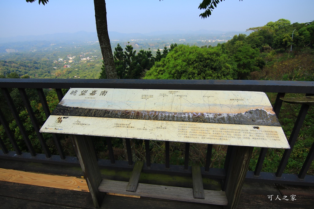 175縣道,台南東山咖啡,東咖農場,東山小動物,東山景點,東山親子玩水玩沙