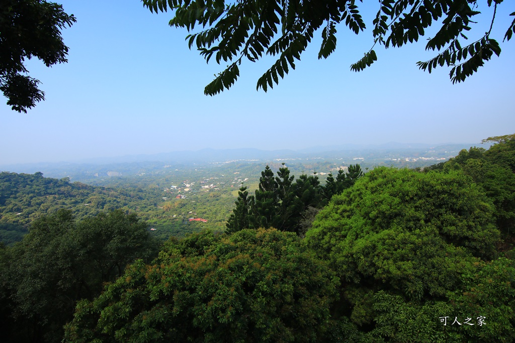 175縣道,台南東山咖啡,東咖農場,東山小動物,東山景點,東山親子玩水玩沙