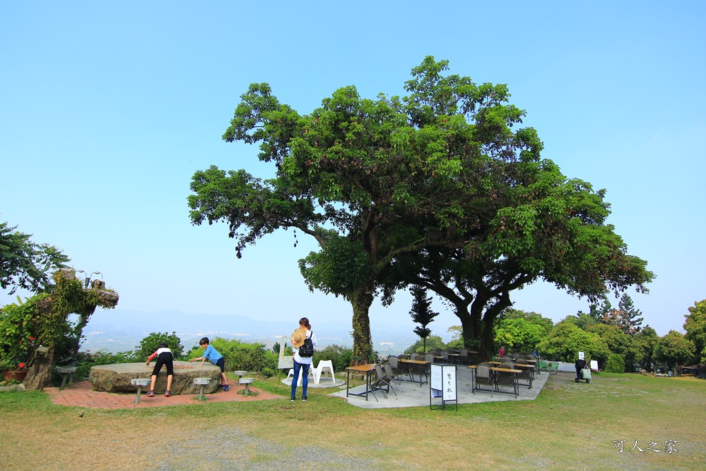 175縣道,台南東山咖啡,東咖農場,東山小動物,東山景點,東山親子玩水玩沙