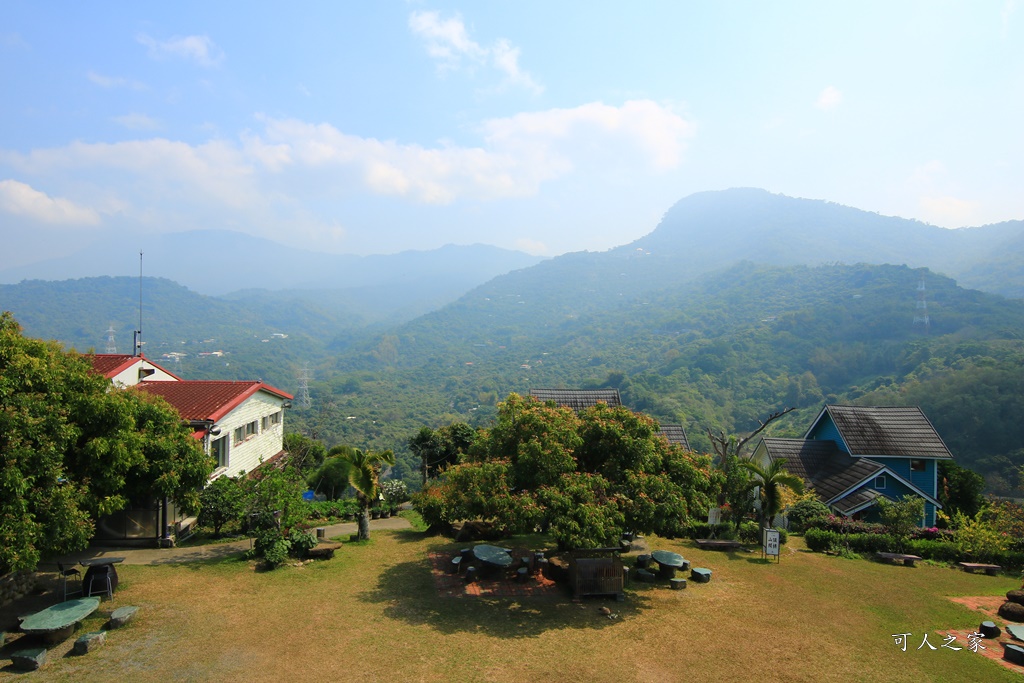 175縣道,台南東山咖啡,東咖農場,東山小動物,東山景點,東山親子玩水玩沙