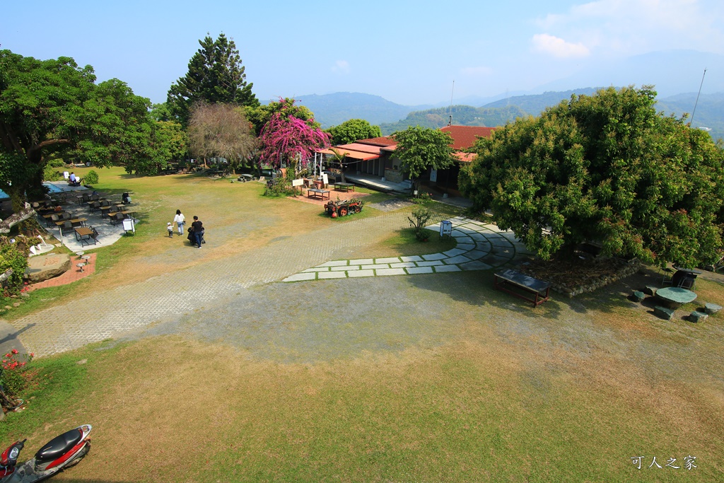 175縣道,台南東山咖啡,東咖農場,東山小動物,東山景點,東山親子玩水玩沙