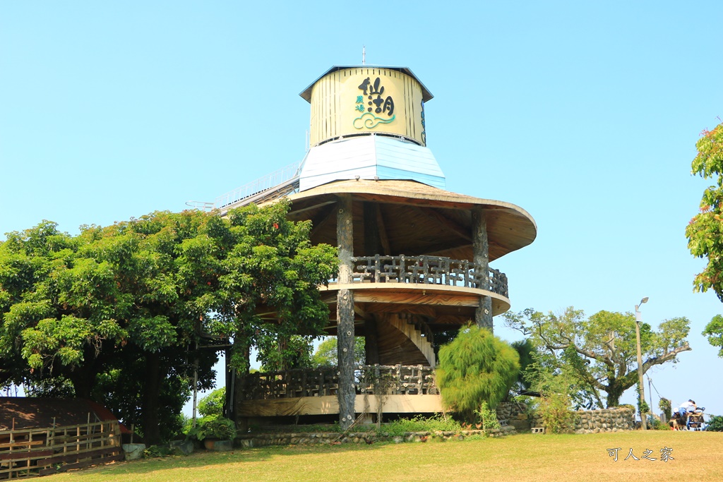 175縣道,台南東山咖啡,東咖農場,東山小動物,東山景點,東山親子玩水玩沙