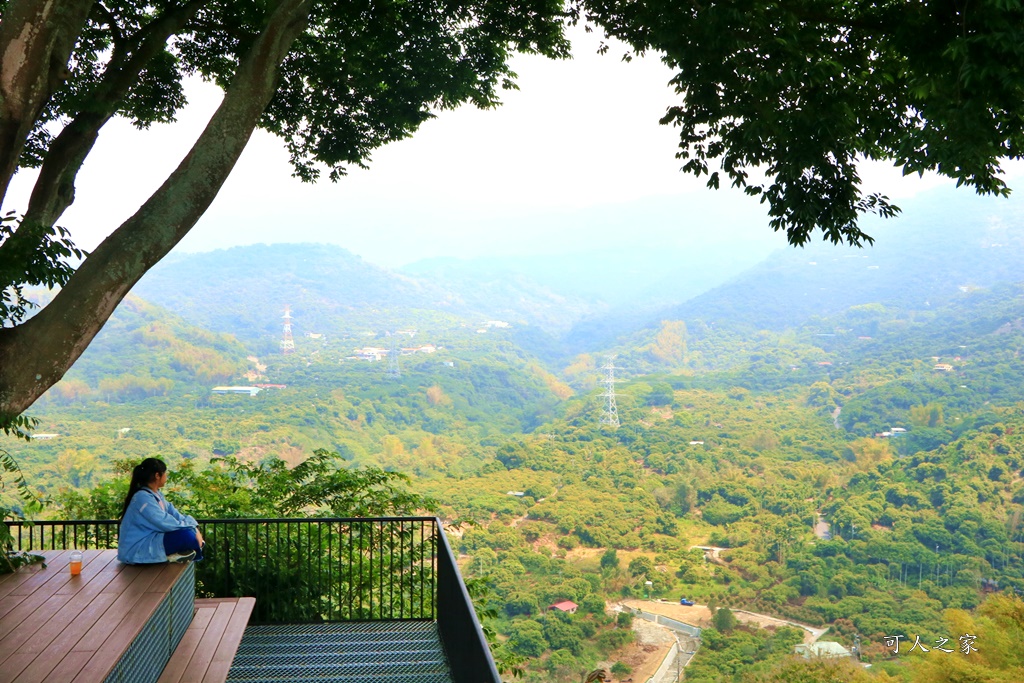 175縣道,台南東山咖啡,東咖農場,東山小動物,東山景點,東山親子玩水玩沙