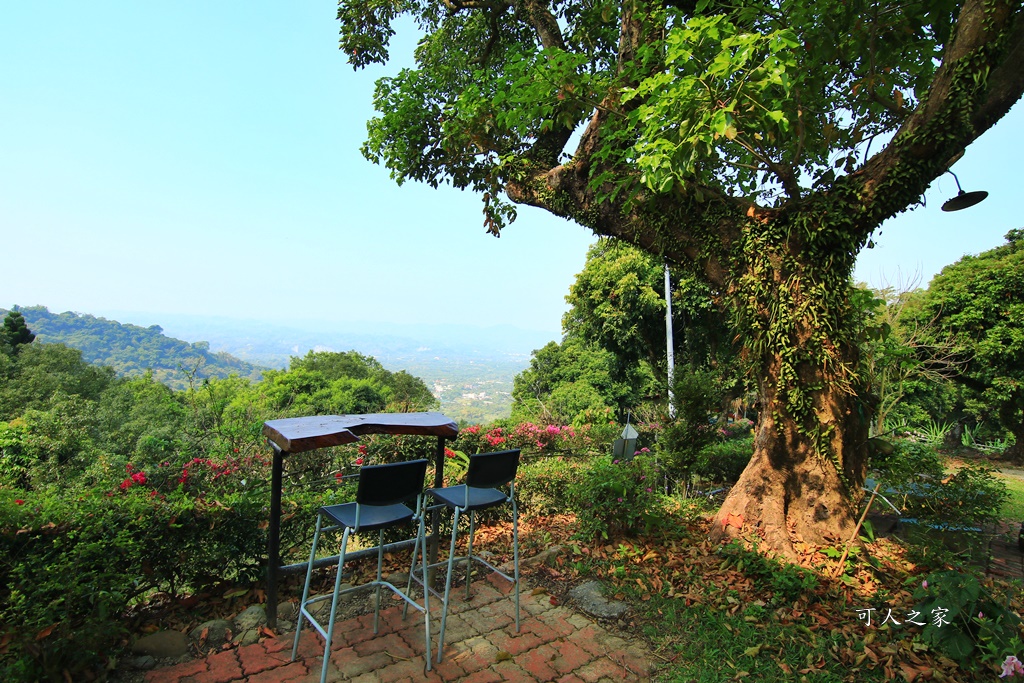 175縣道,台南東山咖啡,東咖農場,東山小動物,東山景點,東山親子玩水玩沙