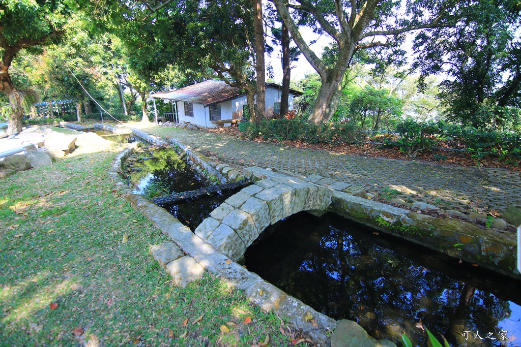 175縣道,台南東山咖啡,東咖農場,東山小動物,東山景點,東山親子玩水玩沙