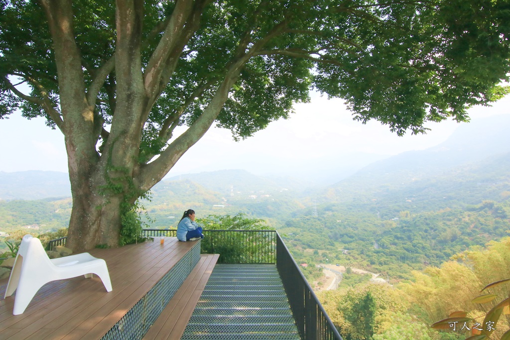 175縣道,台南東山咖啡,東咖農場,東山小動物,東山景點,東山親子玩水玩沙