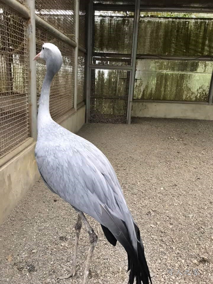 鳳凰谷鳥園