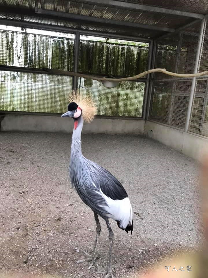 鳳凰谷鳥園生態園區