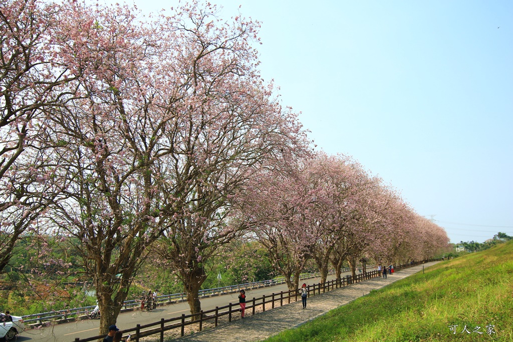 烏山頭水庫