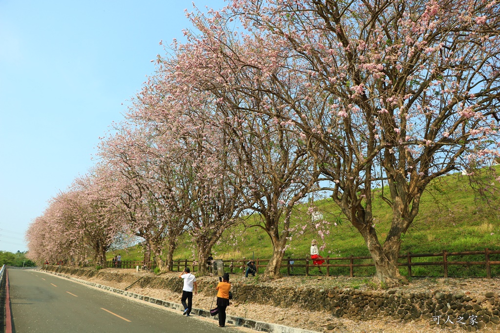 烏山頭水庫