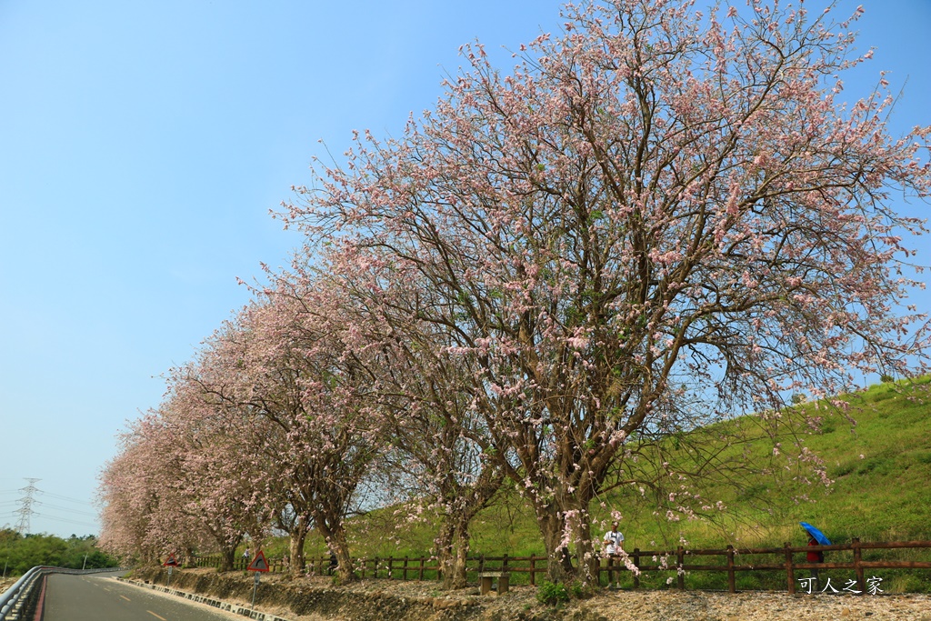 烏山頭水庫