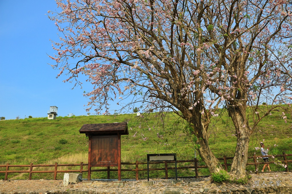 烏山頭水庫