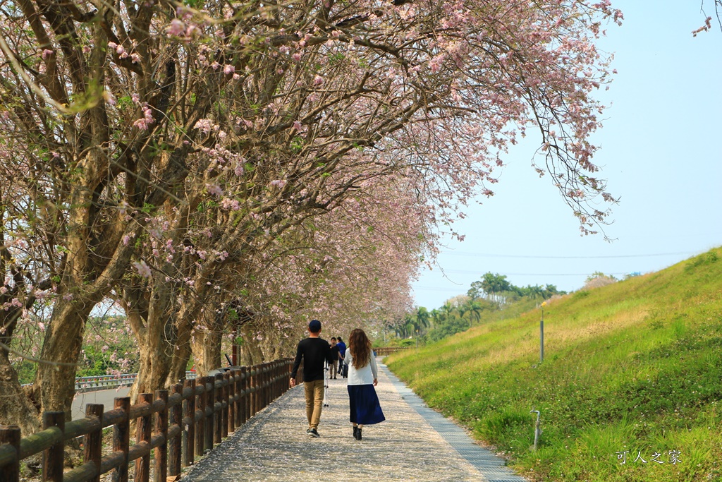 台南景點、台南懶人包、台南一日遊、二日遊、白河景點推薦