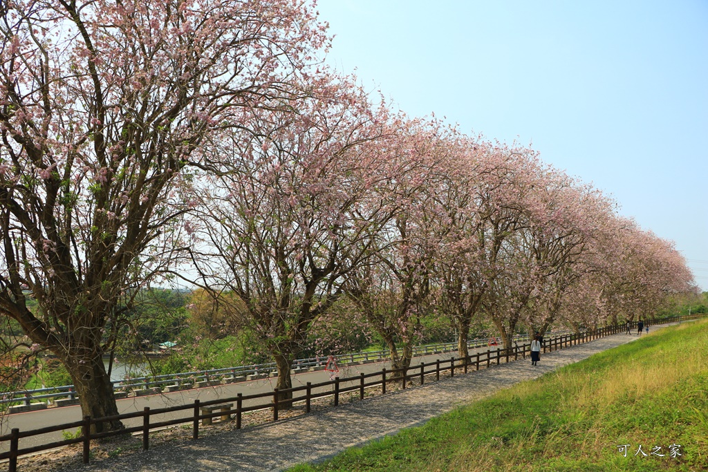 烏山頭水庫