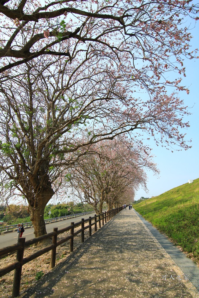 烏山頭水庫