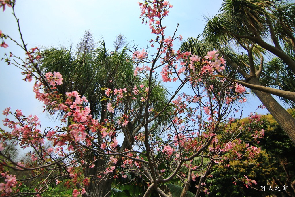 品園、美麗的好花園、鳥園、落羽松林