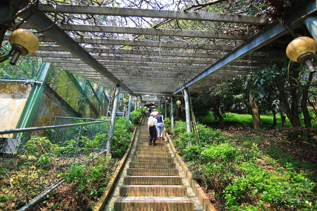 品園、美麗的好花園、鳥園、落羽松林