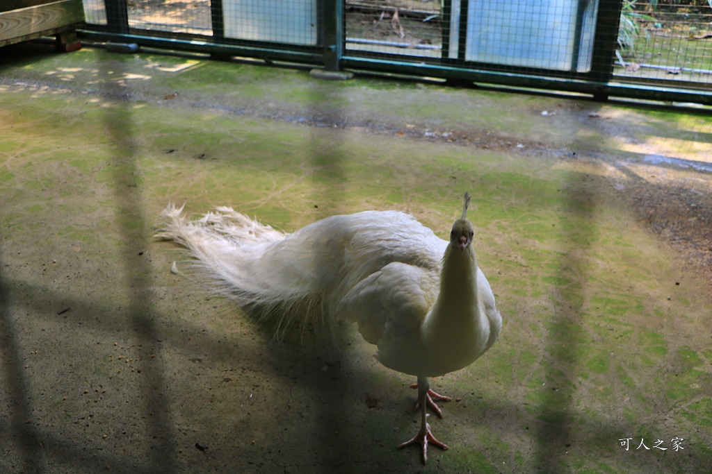 品園、美麗的好花園、鳥園、落羽松林