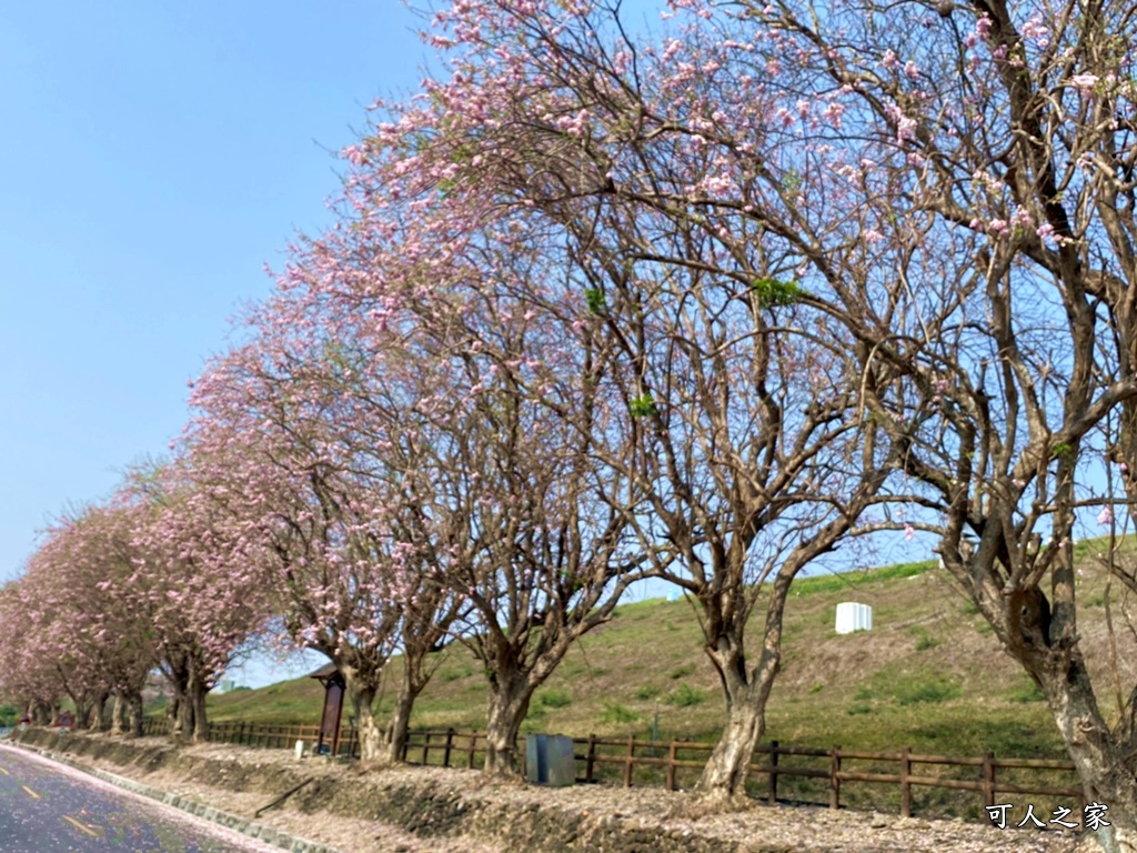 烏山頭水庫