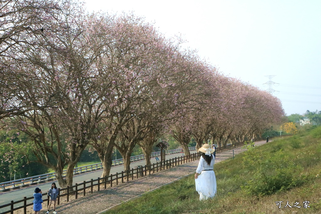 烏山頭水庫