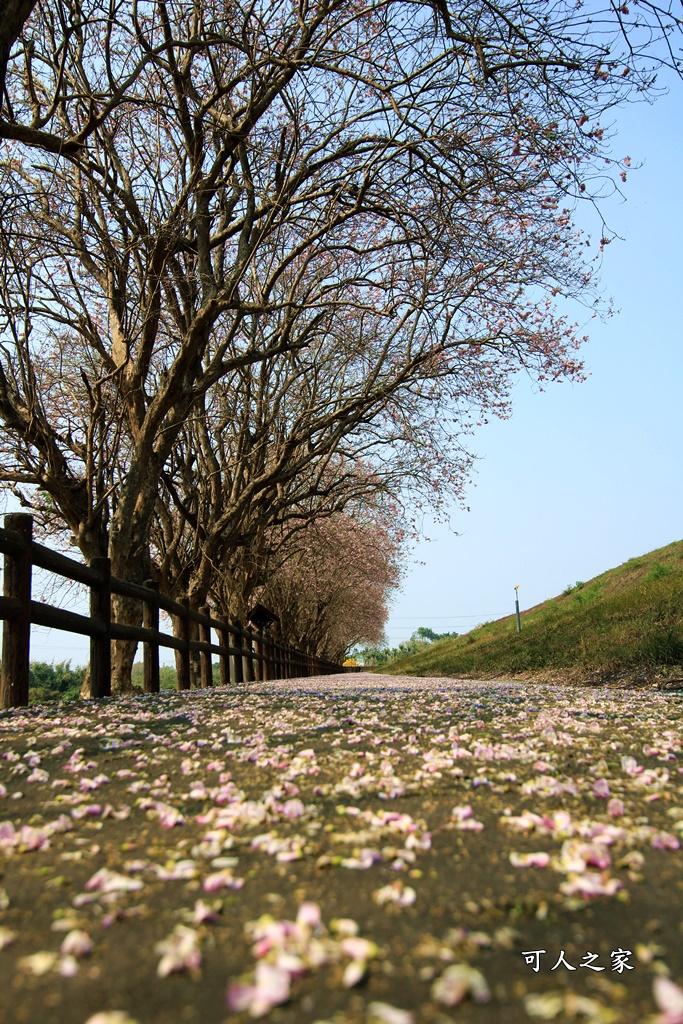 烏山頭水庫