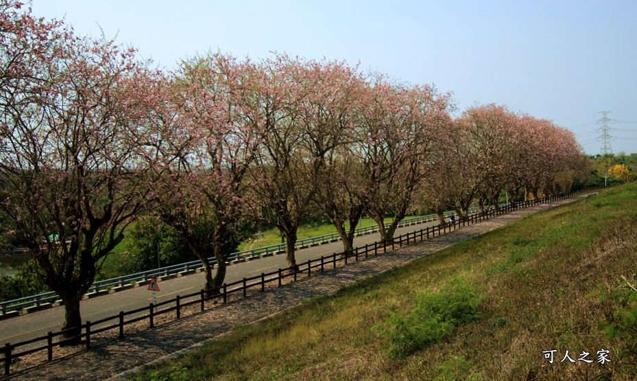 烏山頭水庫