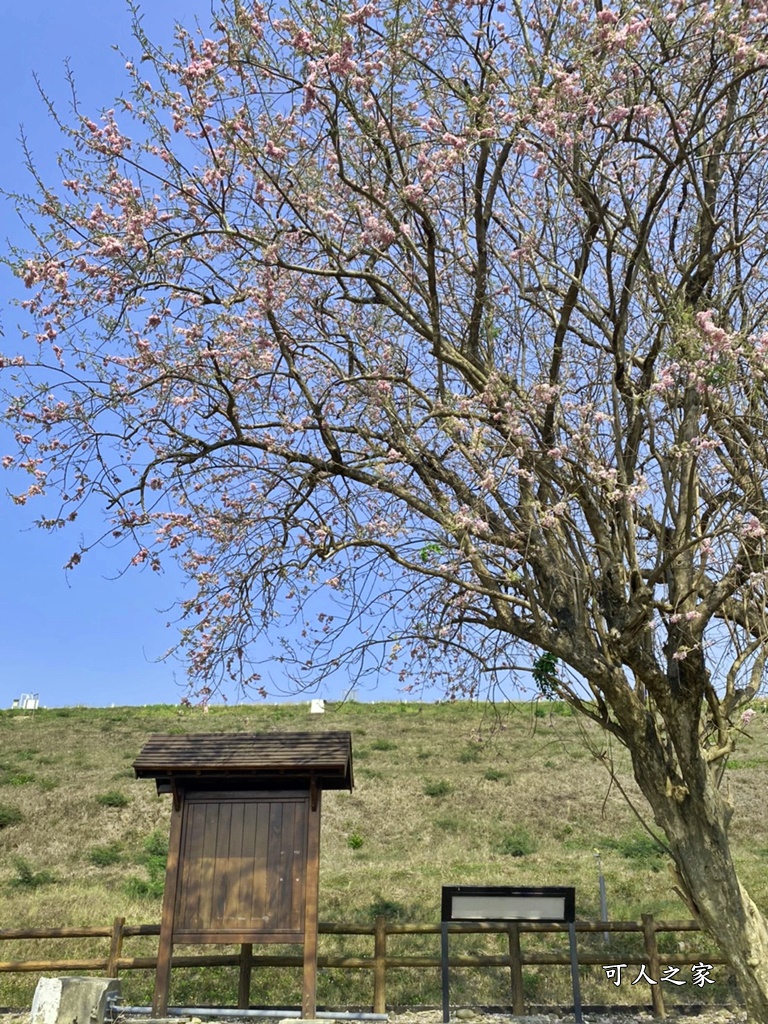 烏山頭水庫