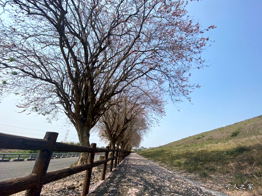 烏山頭水庫