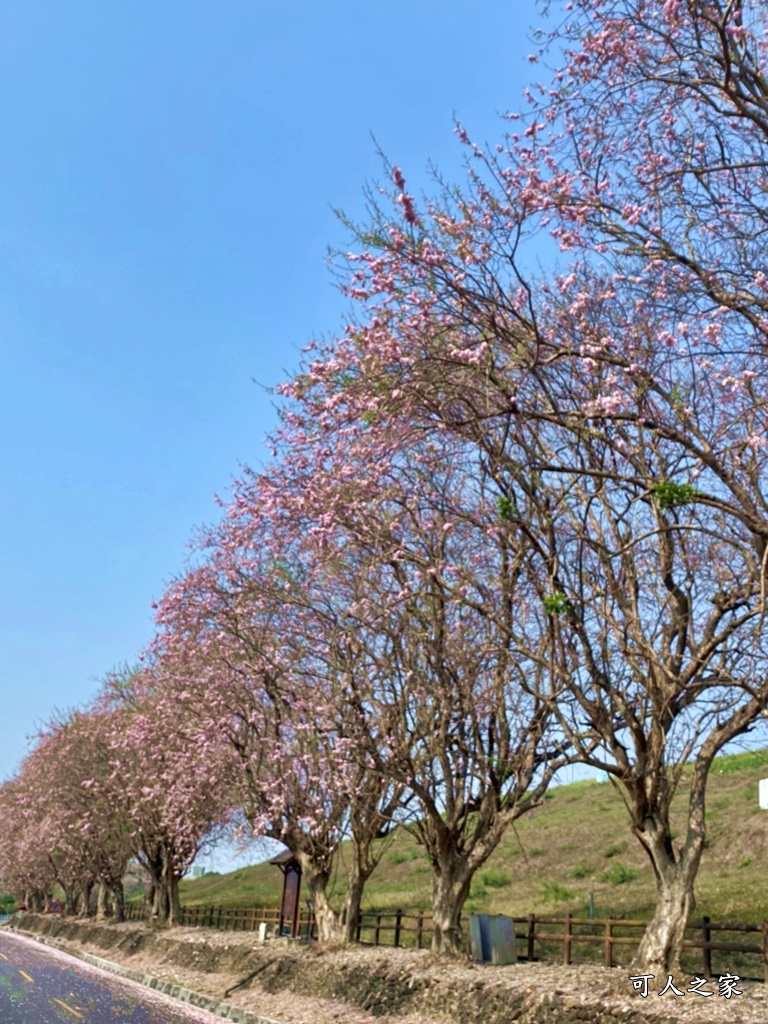 烏山頭水庫