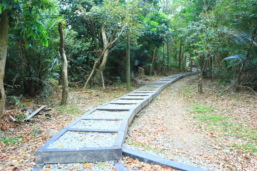 台中大坑風景區 大坑一號步道 全長1566公尺、體能訓練場