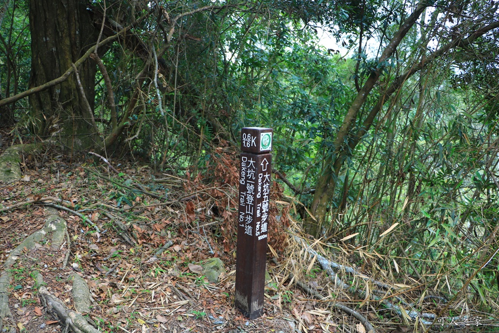 台中大坑風景區 大坑一號步道 全長1566公尺、體能訓練場