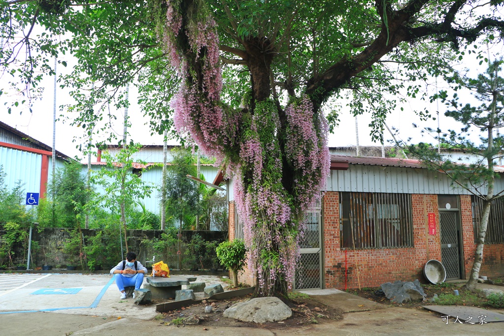 嘉義佳鄉庭園餐廳、石斛蘭花