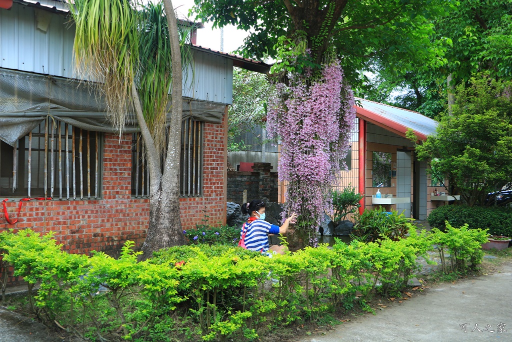 嘉義佳鄉庭園餐廳、石斛蘭花