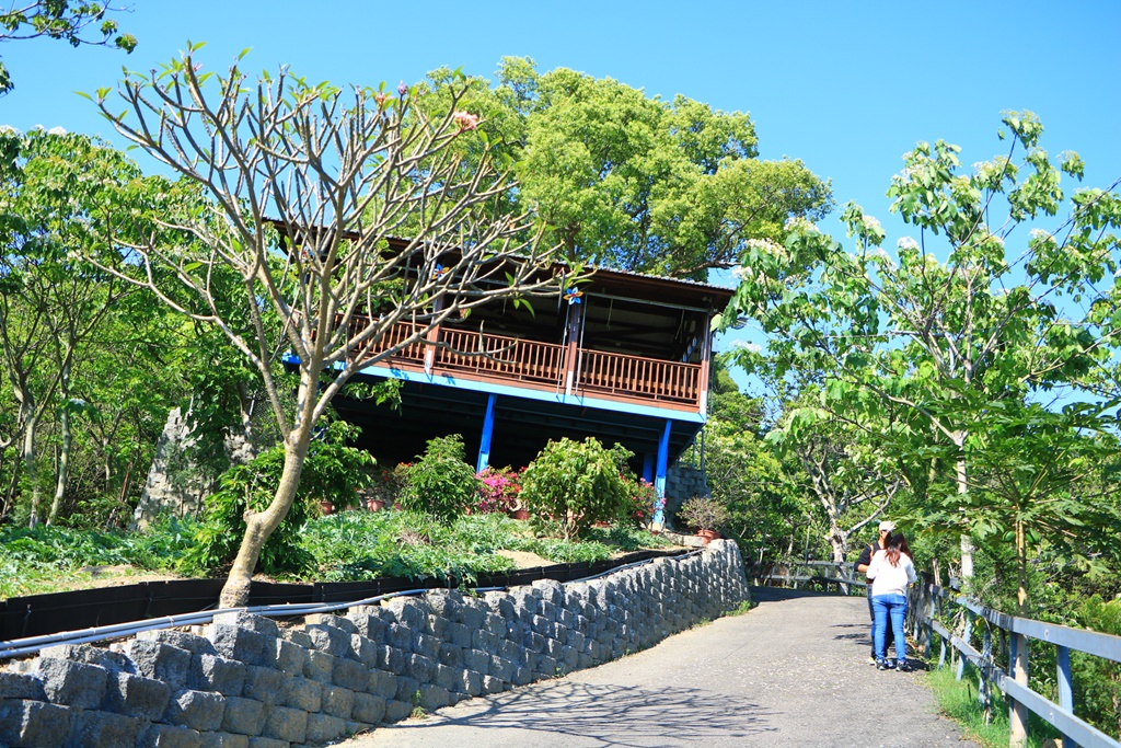 彰化一日遊,彰化出水坑桐花步道,彰化山腳路賞桐,彰化景點,彰化桐遊一日遊 @可人之家