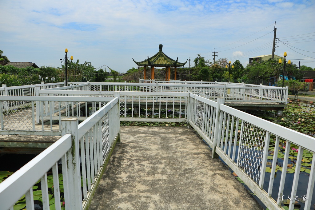 台南白河蓮花季