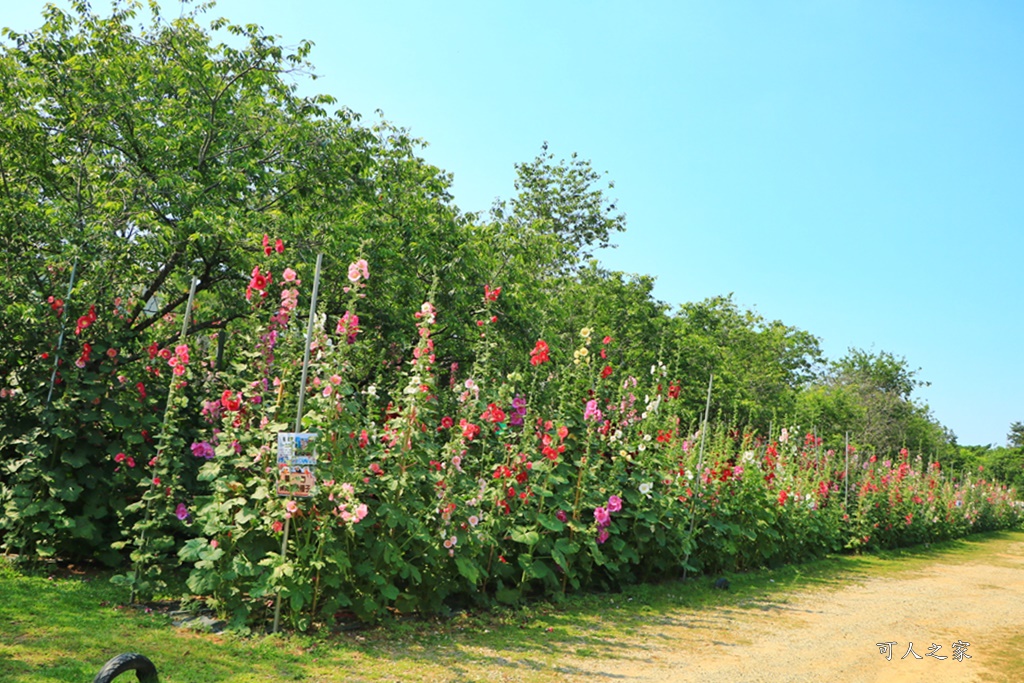 櫻花鳥森林