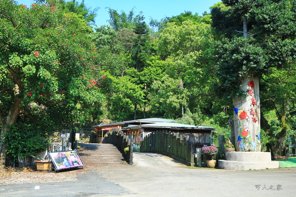 櫻花鳥森林