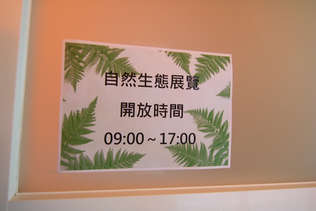 七股遊客中心、自然生態展示館、打卡送冰棒、免費參觀、周邊景點