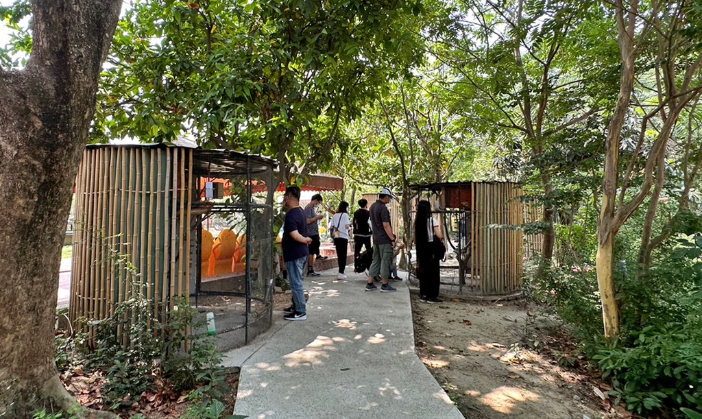 延伸閱讀：台南【樹谷農場】門票60可餵20多種小動物！園區乾淨整齊/遊樂設施/雲端歷險