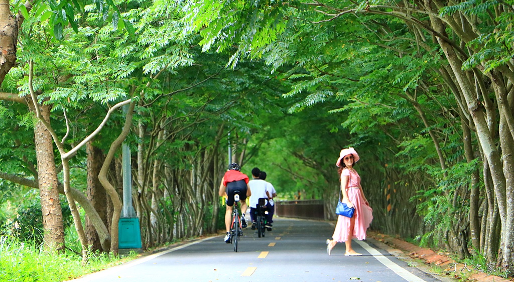 東豐鐵路綠色走廊1.1公里、200 days