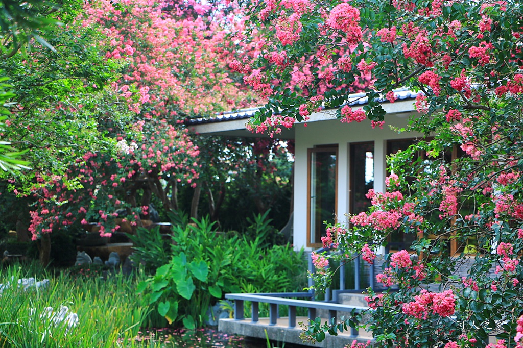 銘園庭園美術館小花紫薇