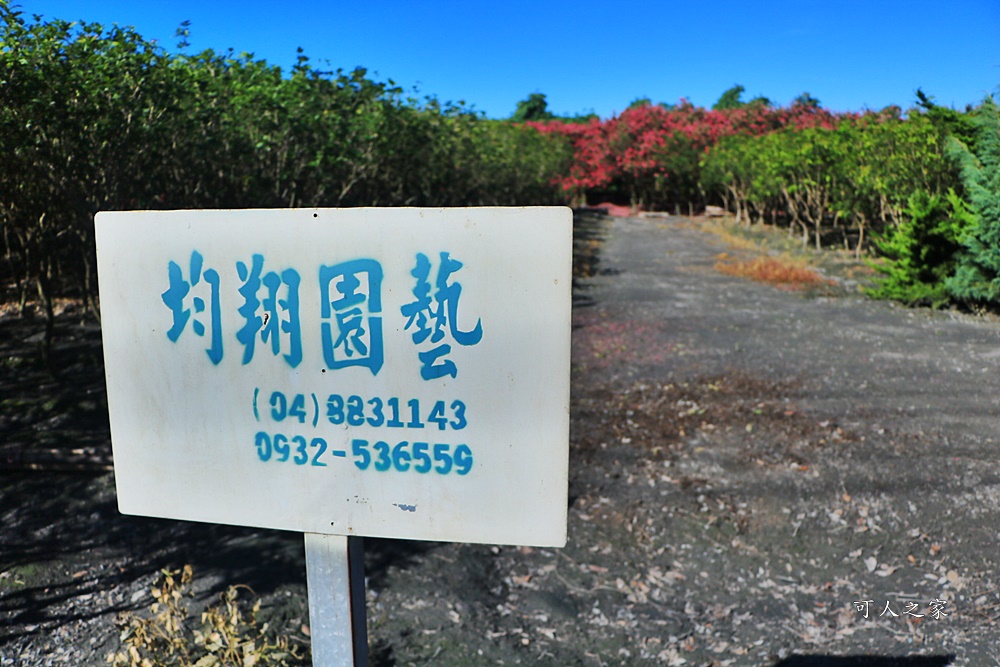 田中小花紫薇秘境