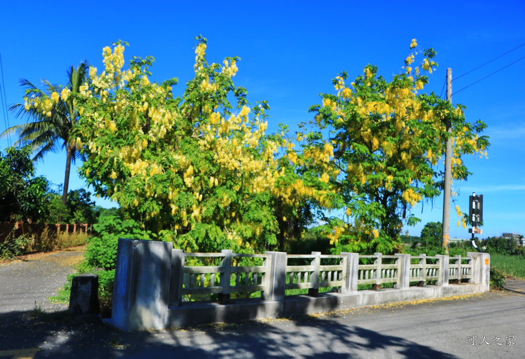 田中小花紫薇秘境