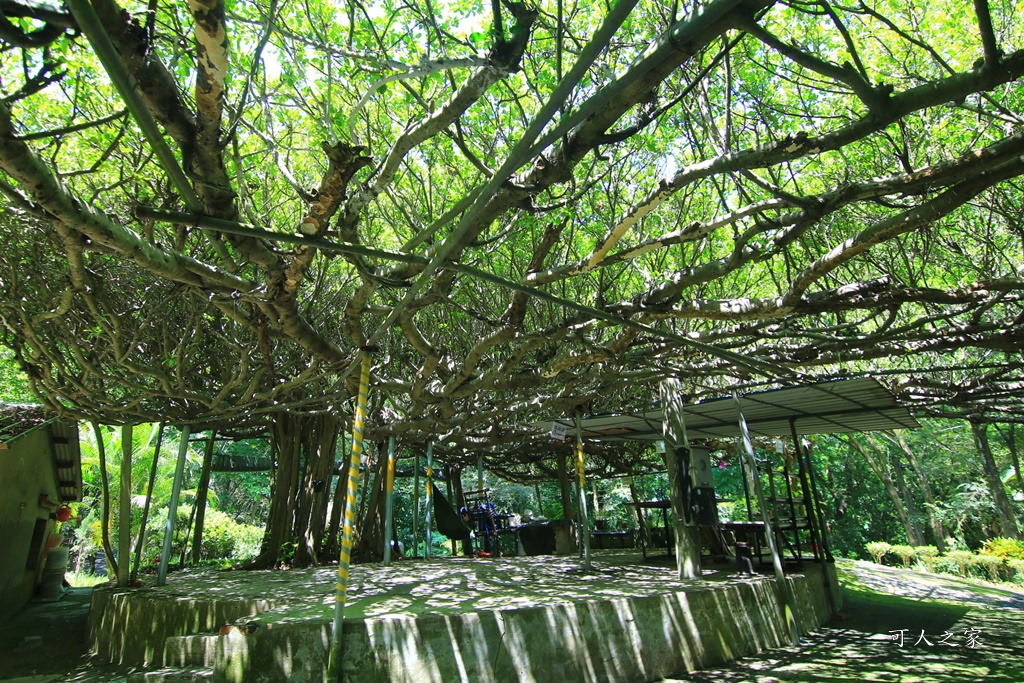 川文山森林生態保育農場