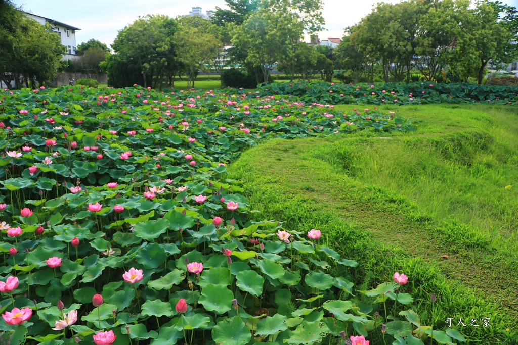 心田花園