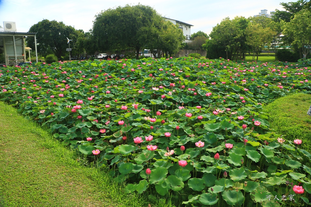 心田花園