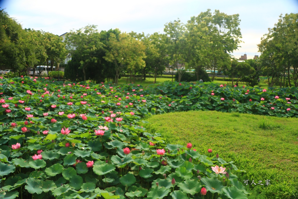 心田花園